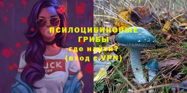 молекула духа Балабаново