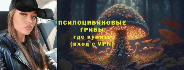 Альфа ПВП Аркадак