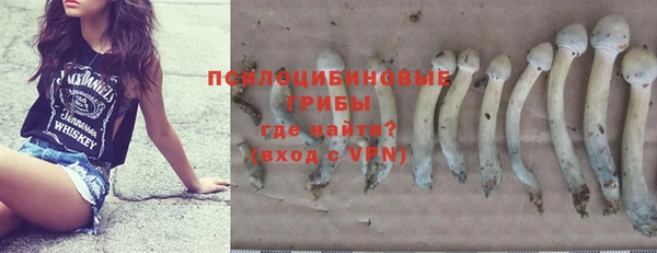 молекула духа Балабаново