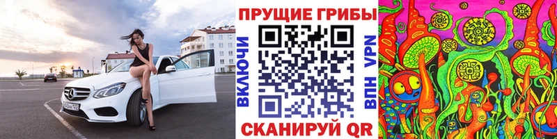 Псилоцибиновые грибы мицелий  Сенгилей 